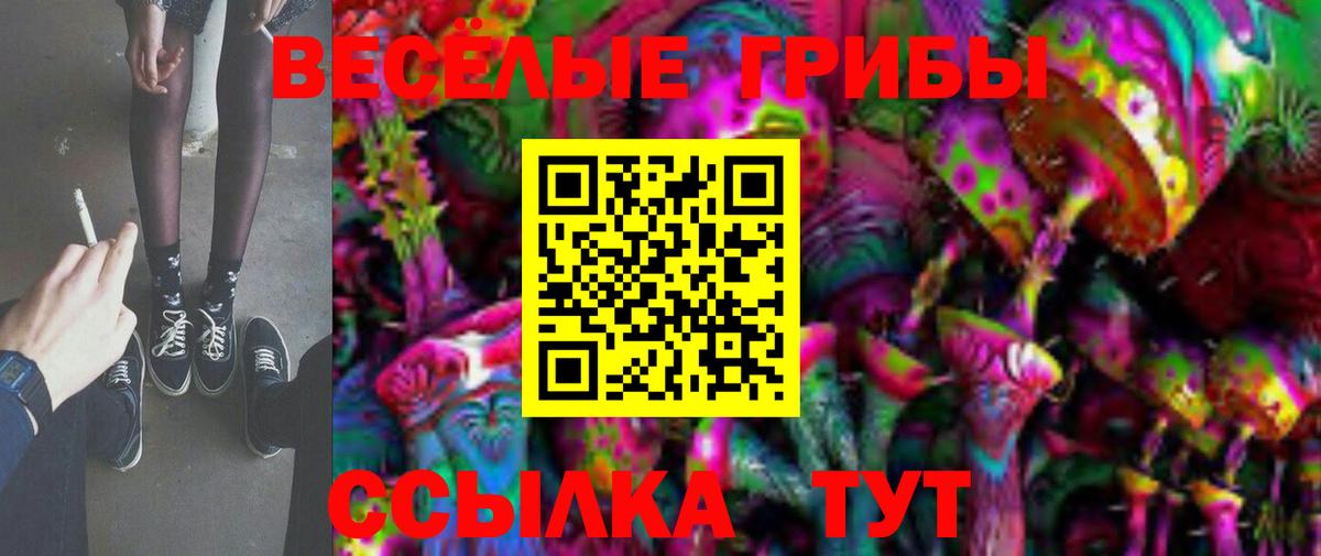 Псилоцибиновые грибы Psilocybe Торжок