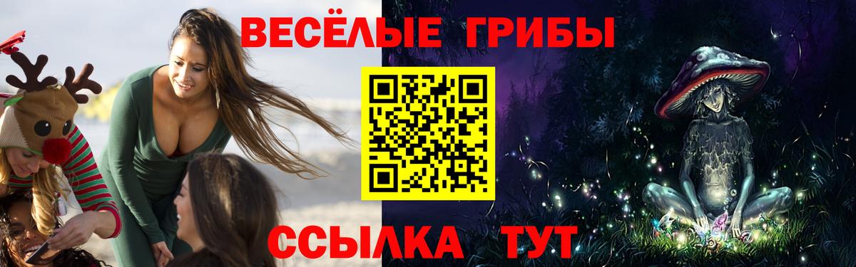 Торжок  Псилоцибиновые грибы Psilocybine cubensis  Вход с VPN 